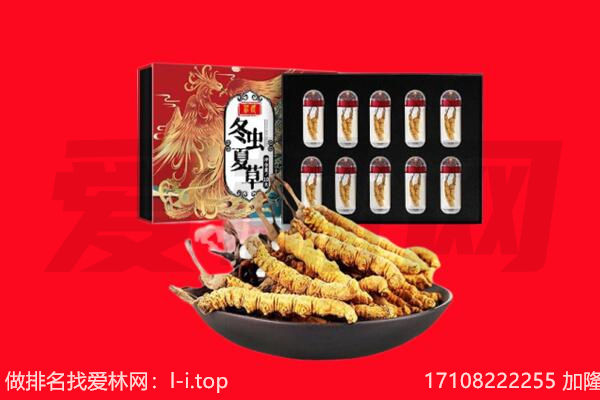 锦州太和区回收虫草.jpg